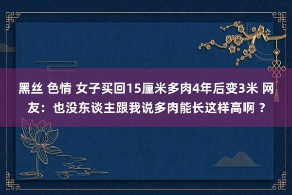 黑丝 色情 女子买回15厘米多肉4年后变3米 网友：也没东谈主跟我说多肉能长这样高啊 ？