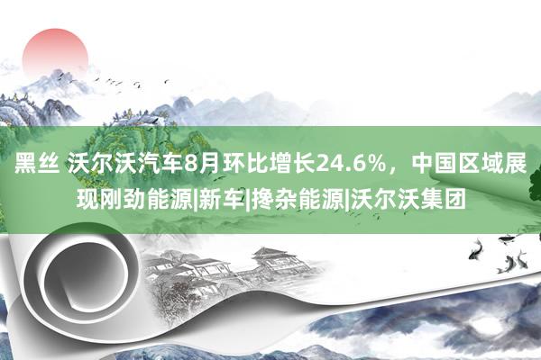 黑丝 沃尔沃汽车8月环比增长24.6%，中国区域展现刚劲能源|新车|搀杂能源|沃尔沃集团